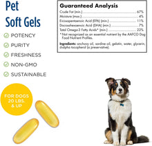 Load image into Gallery viewer, Nordic Naturals Omega-3 Pet, Unflavored - 330 mg Omega-3 Per Soft Gel - Fish Oil for Dogs with EPA &amp; DHA - Promotes Heart, Skin, Coat, Joint, &amp; Immune Health
