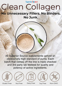 Superior Source Keto Collagen Protein Powder Chocolate (14 oz), Grass Fed Collagen Peptides with MCT Oil, 23 (17 g) Servings, Pre/Post Workout, Gluten Free, Paleo Friendly, Non-GMO