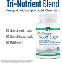 Load image into Gallery viewer, Nordic Naturals ProOmega Blood Sugar - Fish Oil, 455 mg EPA, 315 mg DHA, 200 ug Chromium, 300 mg Alpha-Lipoic Acid, Supports Normal Insulin and Glucose Levels*, 60 Soft Gels