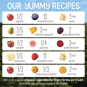 Happy Baby Organics Clearly Crafted Baby Food Pouches Variety Pack, 4 Ounces, 10 Count